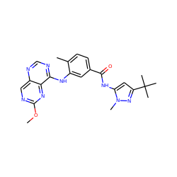 COc1ncc2ncnc(Nc3cc(C(=O)Nc4cc(C(C)(C)C)nn4C)ccc3C)c2n1 ZINC000148351845