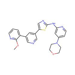 COc1ncccc1-c1cncc(-c2cnc(Nc3cc(N4CCOCC4)ccn3)s2)c1 ZINC000084602030