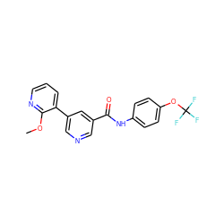 COc1ncccc1-c1cncc(C(=O)Nc2ccc(OC(F)(F)F)cc2)c1 ZINC000205961757