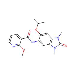 COc1ncccc1C(=O)Nc1cc2c(cc1OC(C)C)n(C)c(=O)n2C ZINC000653822865