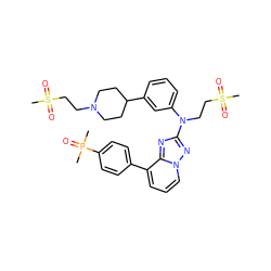 CP(C)(=O)c1ccc(-c2cccn3nc(N(CCS(C)(=O)=O)c4cccc(C5CCN(CCS(C)(=O)=O)CC5)c4)nc23)cc1 ZINC000096169718