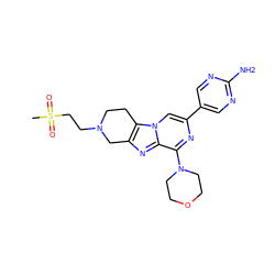 CS(=O)(=O)CCN1CCc2c(nc3c(N4CCOCC4)nc(-c4cnc(N)nc4)cn23)C1 ZINC001772644934