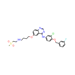 CS(=O)(=O)CCNCCCCOc1ccc2ncnc(Nc3ccc(OCc4cccc(F)c4)c(Cl)c3)c2c1 ZINC000014945057