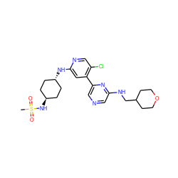 CS(=O)(=O)N[C@H]1CC[C@H](Nc2cc(-c3cncc(NCC4CCOCC4)n3)c(Cl)cn2)CC1 ZINC000261132801