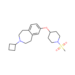 CS(=O)(=O)N1CCC(Oc2ccc3c(c2)CCN(C2CCC2)CC3)CC1 ZINC000038424577