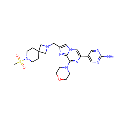 CS(=O)(=O)N1CCC2(CC1)CN(Cc1cn3cc(-c4cnc(N)nc4)nc(N4CCOCC4)c3n1)C2 ZINC000084742423