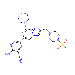 CS(=O)(=O)N1CCN(Cc2cn3cc(-c4cnc(N)c(C#N)c4)nc(N4CCOCC4)c3n2)CC1 ZINC000084742294