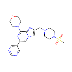 CS(=O)(=O)N1CCN(Cc2cn3cc(-c4cncnc4)nc(N4CCOCC4)c3n2)CC1 ZINC000084740476