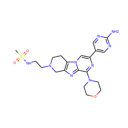 CS(=O)(=O)NCCN1CCc2c(nc3c(N4CCOCC4)nc(-c4cnc(N)nc4)cn23)C1 ZINC000198537463