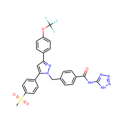 CS(=O)(=O)c1ccc(-c2cc(-c3ccc(OC(F)(F)F)cc3)nn2Cc2ccc(C(=O)Nc3nnn[nH]3)cc2)cc1 ZINC000003963180