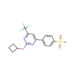 CS(=O)(=O)c1ccc(-c2cc(C(F)(F)F)nc(OC3CCC3)n2)cc1 ZINC000043062555