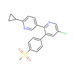 CS(=O)(=O)c1ccc(-c2cc(Cl)cnc2-c2ccc(C3CC3)nc2)cc1 ZINC000003814803