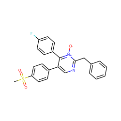 CS(=O)(=O)c1ccc(-c2cnc(Cc3ccccc3)[n+]([O-])c2-c2ccc(F)cc2)cc1 ZINC000043019866