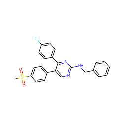 CS(=O)(=O)c1ccc(-c2cnc(NCc3ccccc3)nc2-c2ccc(F)cc2)cc1 ZINC000043017121