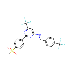 CS(=O)(=O)c1ccc(-c2nc(NCc3ccc(C(F)(F)F)cc3)cc(C(F)(F)F)n2)cc1 ZINC000029132381