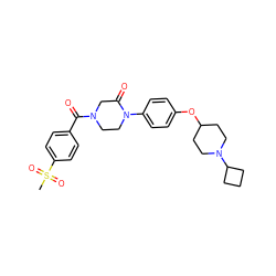 CS(=O)(=O)c1ccc(C(=O)N2CCN(c3ccc(OC4CCN(C5CCC5)CC4)cc3)C(=O)C2)cc1 ZINC000028870369