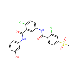 CS(=O)(=O)c1ccc(C(=O)Nc2ccc(Cl)c(C(=O)Nc3cccc(O)c3)c2)c(Cl)c1 ZINC000103246657