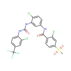 CS(=O)(=O)c1ccc(C(=O)Nc2ccc(Cl)c(NC(=O)Nc3ccc(C(F)(F)F)cc3Cl)c2)c(Cl)c1 ZINC000103246626