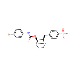 CS(=O)(=O)c1ccc(C[C@@H]2[C@H](OC(=O)Nc3ccc(Br)cc3)C3CCN2CC3)cc1 ZINC000028522802