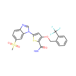 CS(=O)(=O)c1ccc2ncn(-c3cc(OCc4ccccc4C(F)(F)F)c(C(N)=O)s3)c2c1 ZINC000034177081