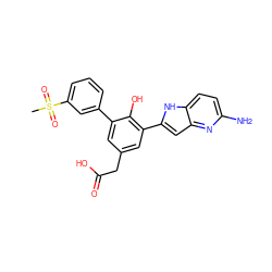 CS(=O)(=O)c1cccc(-c2cc(CC(=O)O)cc(-c3cc4nc(N)ccc4[nH]3)c2O)c1 ZINC000101150168