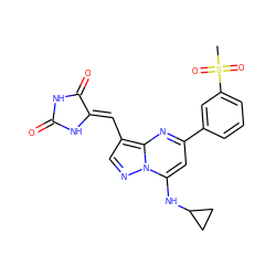 CS(=O)(=O)c1cccc(-c2cc(NC3CC3)n3ncc(/C=C4\NC(=O)NC4=O)c3n2)c1 ZINC000117817902