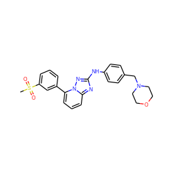 CS(=O)(=O)c1cccc(-c2cccc3nc(Nc4ccc(CN5CCOCC5)cc4)nn23)c1 ZINC000096169612