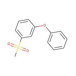 CS(=O)(=O)c1cccc(Oc2ccccc2)c1 ZINC000200062735