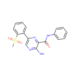 CS(=O)(=O)c1ccccc1-c1cnc(N)c(C(=O)Nc2ccccc2)n1 ZINC000071316274