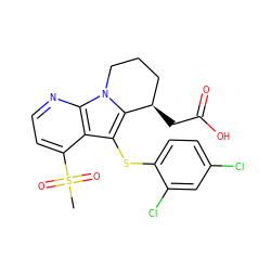 CS(=O)(=O)c1ccnc2c1c(Sc1ccc(Cl)cc1Cl)c1n2CCC[C@H]1CC(=O)O ZINC000003949536