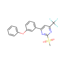 CS(=O)(=O)c1nc(-c2cccc(Oc3ccccc3)c2)cc(C(F)(F)F)n1 ZINC001772653879