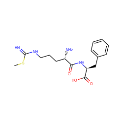 CSC(=N)NCCC[C@H](N)C(=O)N[C@@H](Cc1ccccc1)C(=O)O ZINC000028525373