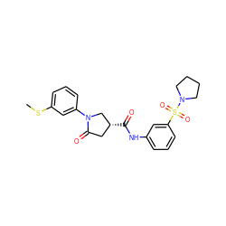 CSc1cccc(N2C[C@H](C(=O)Nc3cccc(S(=O)(=O)N4CCCC4)c3)CC2=O)c1 ZINC000012604875