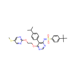 CSc1cnc(OCCOc2ncnc(NS(=O)(=O)c3ccc(C(C)(C)C)cc3)c2-c2ccc(C(C)C)cc2)nc1 ZINC000027079012