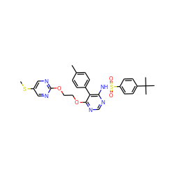 CSc1cnc(OCCOc2ncnc(NS(=O)(=O)c3ccc(C(C)(C)C)cc3)c2-c2ccc(C)cc2)nc1 ZINC000001542083