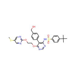 CSc1cnc(OCCOc2ncnc(NS(=O)(=O)c3ccc(C(C)(C)C)cc3)c2-c2ccc(CO)cc2)nc1 ZINC000027082381