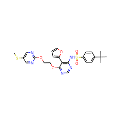 CSc1cnc(OCCOc2ncnc(NS(=O)(=O)c3ccc(C(C)(C)C)cc3)c2-c2ccco2)nc1 ZINC000026994701