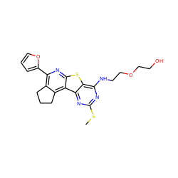 CSc1nc(NCCOCCO)c2sc3nc(-c4ccco4)c4c(c3c2n1)CCC4 ZINC000002454138