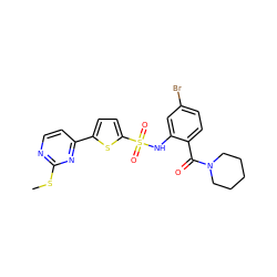 CSc1nccc(-c2ccc(S(=O)(=O)Nc3cc(Br)ccc3C(=O)N3CCCCC3)s2)n1 ZINC000028969380