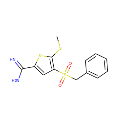 CSc1sc(C(=N)N)cc1S(=O)(=O)Cc1ccccc1 ZINC000036330278