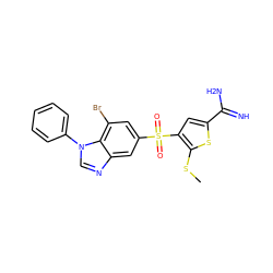 CSc1sc(C(=N)N)cc1S(=O)(=O)c1cc(Br)c2c(c1)ncn2-c1ccccc1 ZINC000036330273