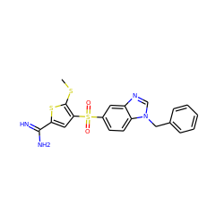 CSc1sc(C(=N)N)cc1S(=O)(=O)c1ccc2c(c1)ncn2Cc1ccccc1 ZINC000036330288