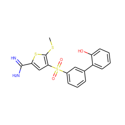 CSc1sc(C(=N)N)cc1S(=O)(=O)c1cccc(-c2ccccc2O)c1 ZINC000029038784