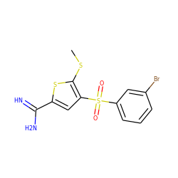 CSc1sc(C(=N)N)cc1S(=O)(=O)c1cccc(Br)c1 ZINC000029038769