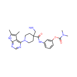 Cc1[nH]c2ncnc(N3CCC(CN)(C(=O)Nc4cccc(OC(=O)N(C)C)c4)CC3)c2c1C ZINC000653853876