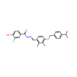 Cc1c(/C=N/NC(=O)c2ccc(O)c(Cl)c2)ccc(OCc2ccc(C(C)C)cc2)c1C ZINC000013439056