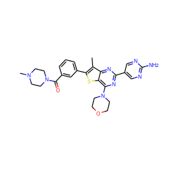 Cc1c(-c2cccc(C(=O)N3CCN(C)CC3)c2)sc2c(N3CCOCC3)nc(-c3cnc(N)nc3)nc12 ZINC000049781387