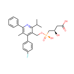 Cc1c(-c2ccccc2)nc(C(C)C)c(CO[P@](=O)(O)C[C@H](O)CC(=O)O)c1-c1ccc(F)cc1 ZINC000026675359