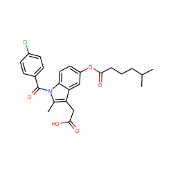 Cc1c(CC(=O)O)c2cc(OC(=O)CCCC(C)C)ccc2n1C(=O)c1ccc(Cl)cc1 ZINC000013862793