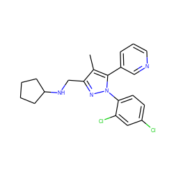 Cc1c(CNC2CCCC2)nn(-c2ccc(Cl)cc2Cl)c1-c1cccnc1 ZINC000040394706